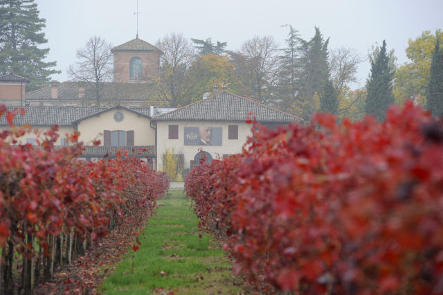 Chiarli Foto Azienda Vigna e cantina2